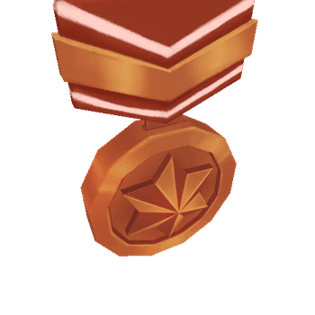 45_bronz medal